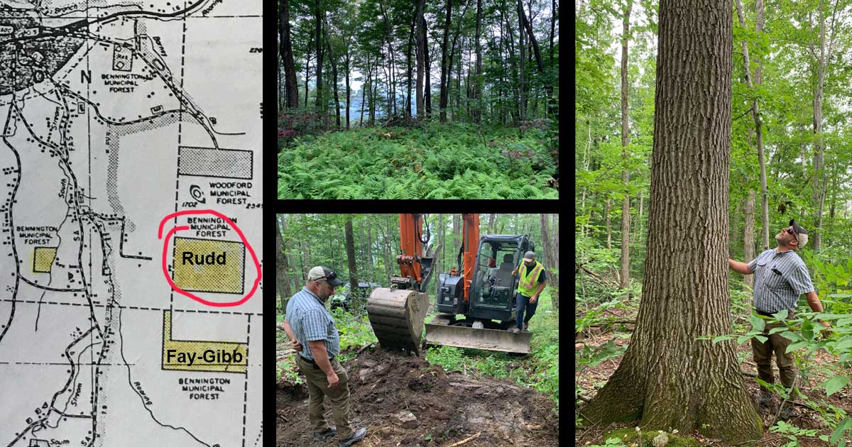 Map of Rudd Lot and photo of tree and excavator